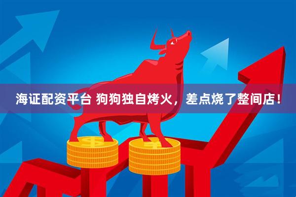 海证配资平台 狗狗独自烤火，差点烧了整间店！