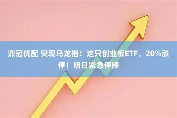 鼎冠优配 突现乌龙指！这只创业板ETF，20%涨停！明日紧急停牌