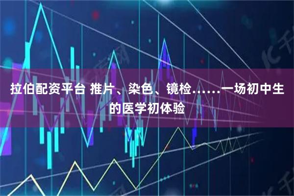 拉伯配资平台 推片、染色、镜检……一场初中生的医学初体验